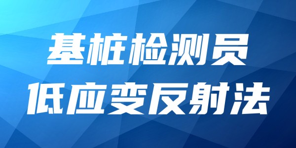 2025年基桩检测员培训班-低应变反射法
